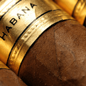 Discover Cigar Regions