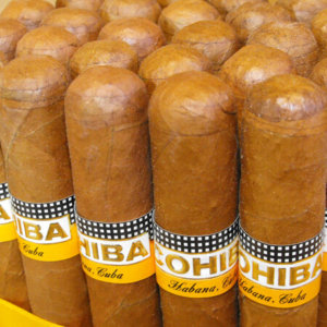 Cohiba La Linea 1492