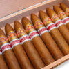 Ramon Allones Petit Belicosos UK Regional Edition 2012 - Image 3