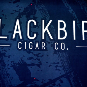 Blackbird Cigar Co.