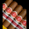 La Flor de Cano Selectos No.3 - UK Habanos Regional Edition - Image 4